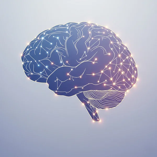 Abstract brain symbolizing ASRS test self-discovery